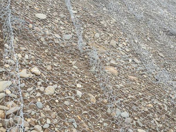 河道雷諾護墊